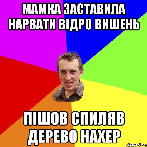 Мамка заставила нарвати відро вишень пішов спиляв дерево нахер, Мем Чоткий паца