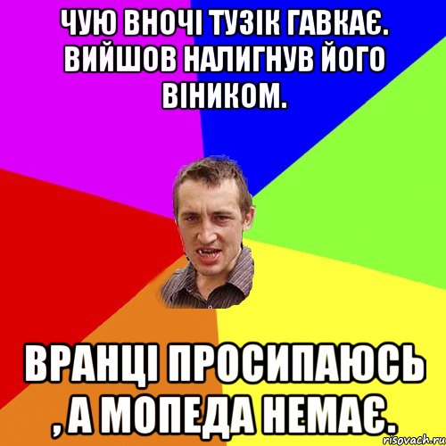 ЧУЮ ВНОЧІ ТУЗІК ГАВКАЄ. ВИЙШОВ НАЛИГНУВ ЙОГО ВІНИКОМ. ВРАНЦІ ПРОСИПАЮСЬ , А МОПЕДА НЕМАЄ., Мем Чоткий паца