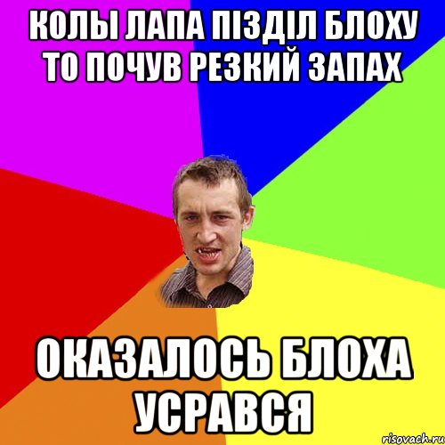 Колы ЛАПА пізділ БЛОХУ то почув резкий запах Оказалось БЛОХА усрався, Мем Чоткий паца