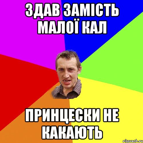 Здав замість малої кал принцески не какають, Мем Чоткий паца