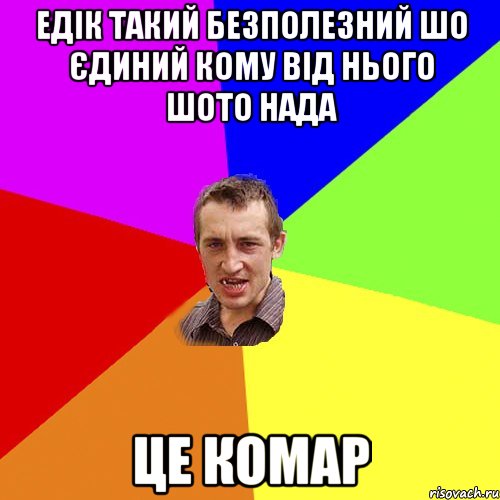 Едік такий безполезний шо єдиний кому від нього шото нада це комар, Мем Чоткий паца