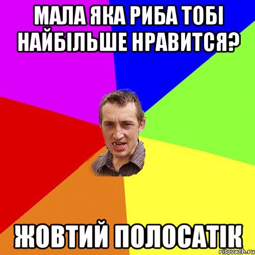 мала яка риба тобі найбільше нравится? жовтий полосатік, Мем Чоткий паца
