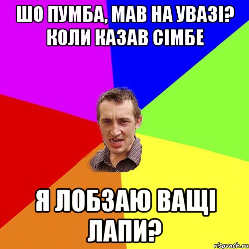 Шо Пумба, мав на увазi? Коли казав Сiмбе Я лобзаю ващi лапи?, Мем Чоткий паца