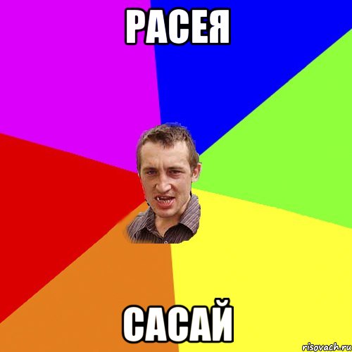 расея сасай, Мем Чоткий паца