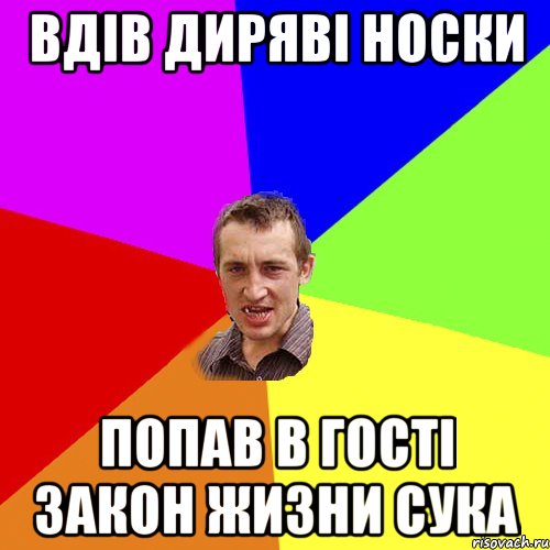 вдів диряві носки попав в гості закон жизни сука, Мем Чоткий паца