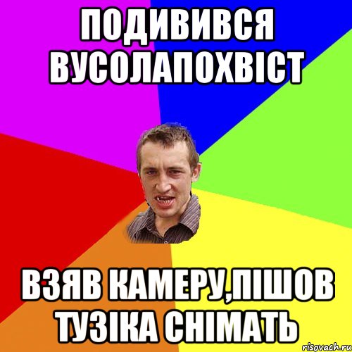 подивився вусолапохвіст взяв камеру,пішов тузіка снімать, Мем Чоткий паца