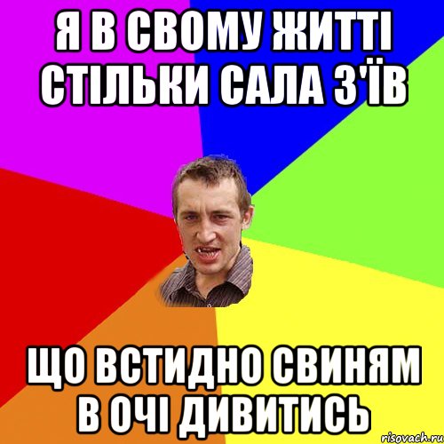 Я в свому житті стільки сала з'їв що встидно свиням в очі дивитись, Мем Чоткий паца