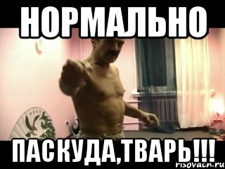 Нормально ПАСКУДА,ТВАРЬ!!!, Мем Паскуда тварь