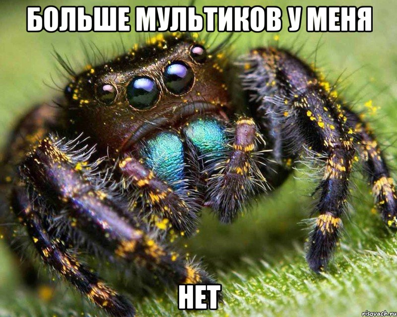 Больше мультиков у меня Нет, Мем Паучок