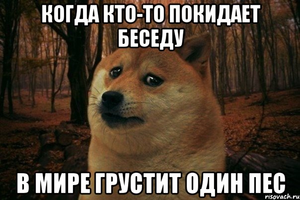 Когда кто-то покидает беседу В мире грустит один пес, Мем SAD DOGE