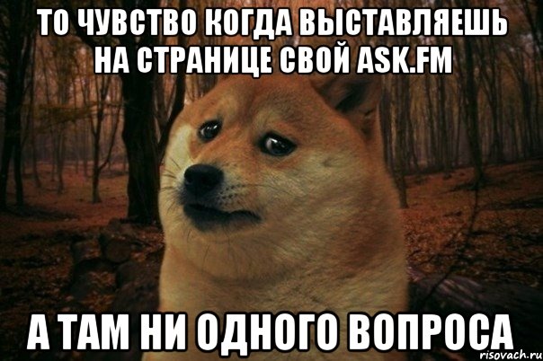 то чувство когда выставляешь на странице свой ask.fm а там ни одного вопроса, Мем SAD DOGE