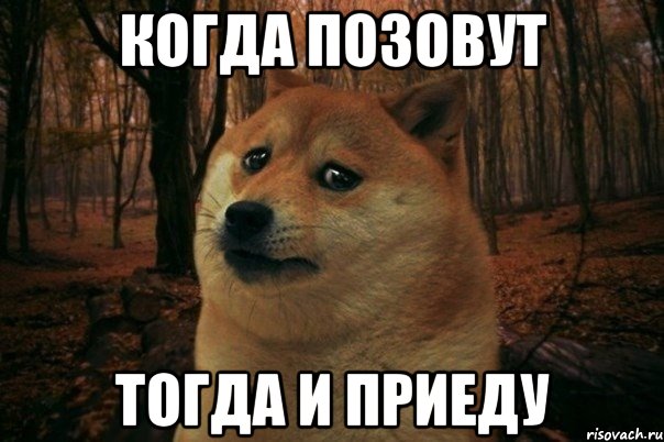 Когда позовут Тогда и приеду, Мем SAD DOGE