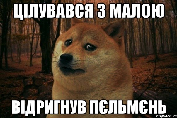 цілувався з малою відригнув пєльмєнь, Мем SAD DOGE