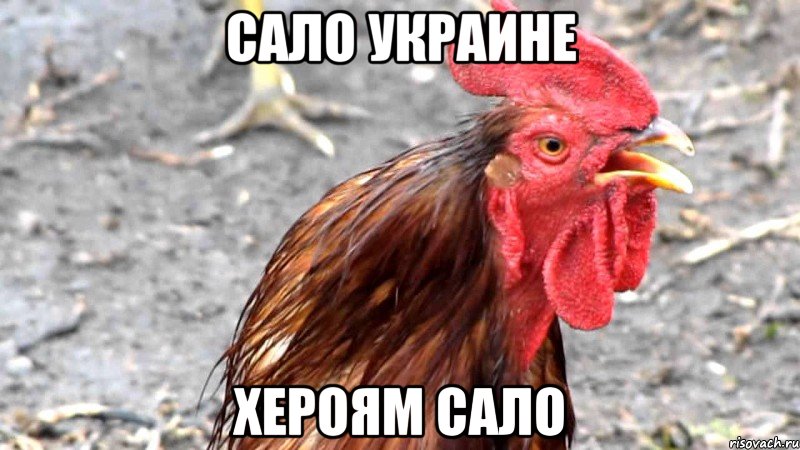 Сало Украине Хероям Сало