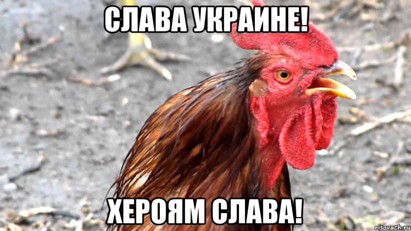 Слава Украине! Хероям слава!