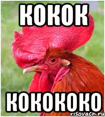 кокок кокококо