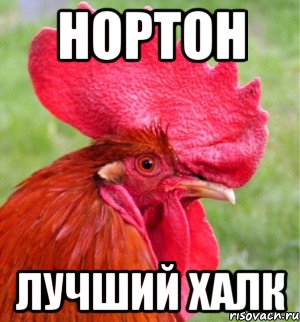Нортон лучший халк