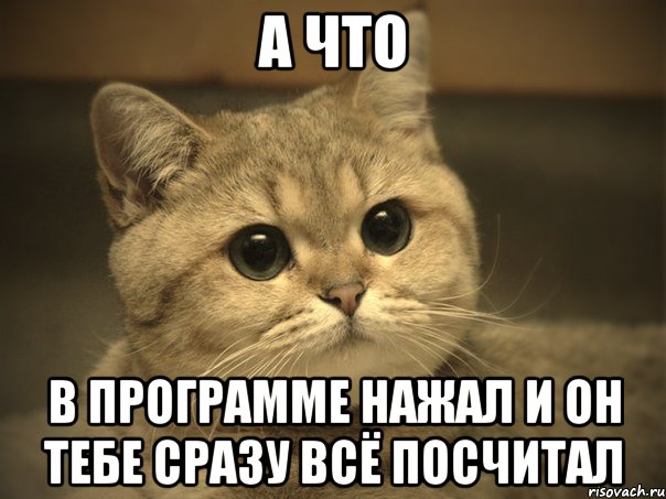 А ЧТО В ПРОГРАММЕ НАЖАЛ И ОН ТЕБЕ СРАЗУ ВСЁ ПОСЧИТАЛ, Мем Пидрила ебаная котик