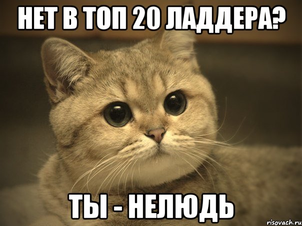 нет в топ 20 ладдера? ты - нелюдь, Мем Пидрила ебаная котик