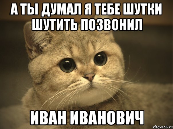 а ты думал я тебе шутки шутить позвонил иван иванович, Мем Пидрила ебаная котик