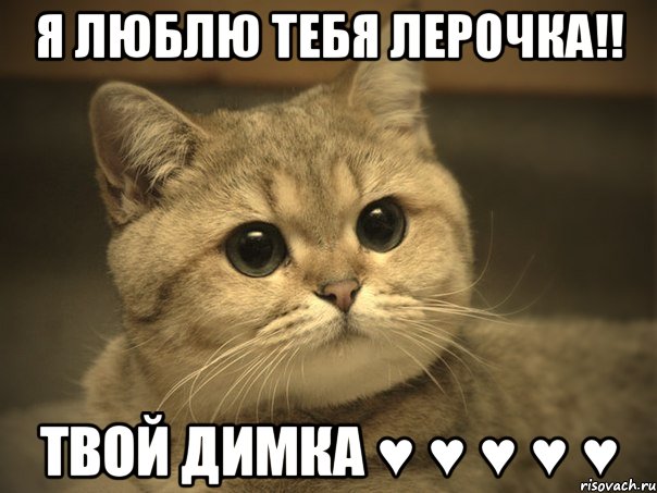 Я Люблю тебя Лерочка!! Твой Димка ♥ ♥ ♥ ♥ ♥, Мем Пидрила ебаная котик