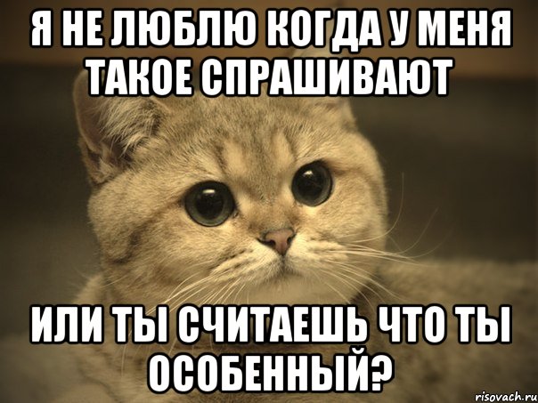 я не люблю когда у меня такое спрашивают или ты считаешь что ты особенный?, Мем Пидрила ебаная котик