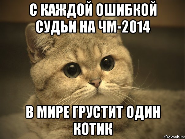 с каждой ошибкой судьи на ЧМ-2014 в мире грустит один котик, Мем Пидрила ебаная котик