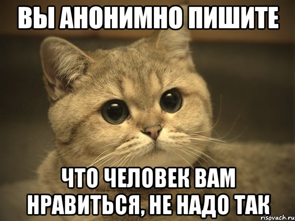 вы анонимно пишите что человек вам нравиться, не надо так, Мем Пидрила ебаная котик