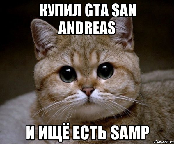 купил gta san andreas и ищё есть samp, Мем Пидрила Ебаная