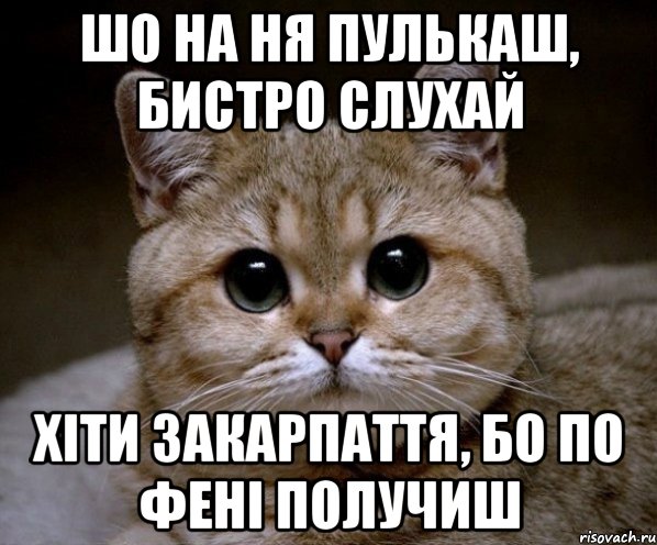 шо на ня пулькаш, бистро слухай хіти Закарпаття, бо по фені получиш, Мем Пидрила Ебаная