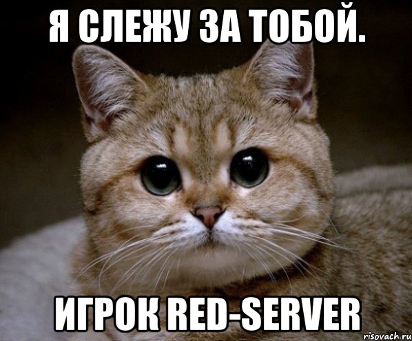 Я слежу за тобой. Игрок Red-Server, Мем Пидрила Ебаная