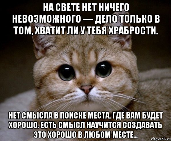 На свете нет ничего невозможного — дело только в том, хватит ли у тебя храбрости. Нет смысла в поиске места, где вам будет хорошо. Есть смысл научится создавать это хорошо в любом месте..., Мем Пидрила Ебаная