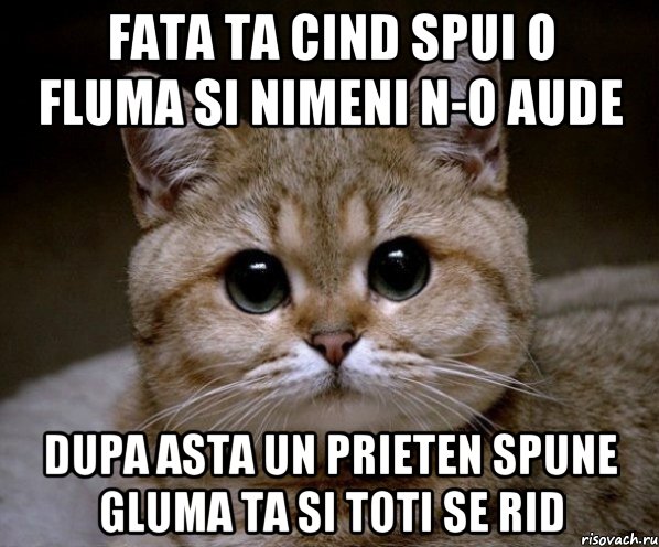 Fata ta cind spui o fluma si nimeni n-o aude dupa asta un prieten spune gluma ta si toti se rid, Мем Пидрила Ебаная