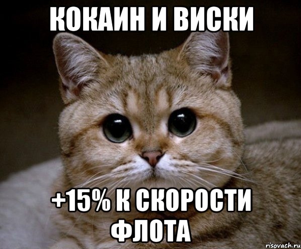 Кокаин и виски +15% к скорости флота, Мем Пидрила Ебаная