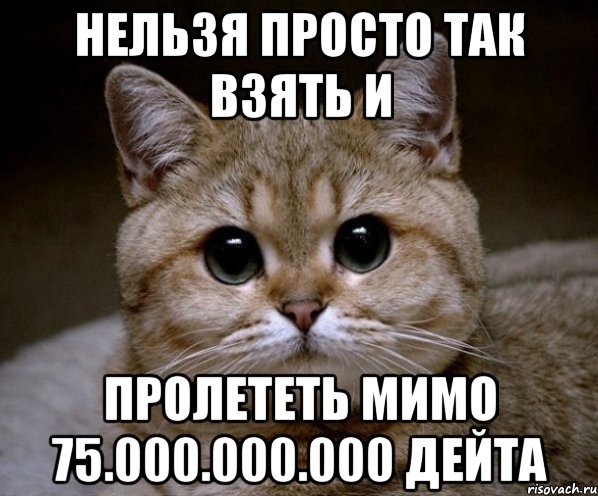 Нельзя просто так взять и Пролететь мимо 75.000.000.000 дейта, Мем Пидрила Ебаная