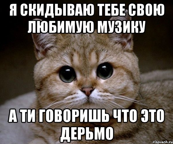 Я скидываю тебе свою любимую музику а ти говоришь что это дерьмо, Мем Пидрила Ебаная