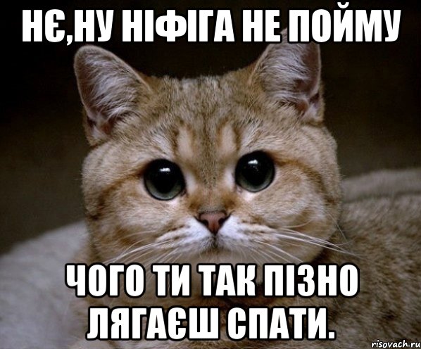 Нє,ну ніфіга не пойму Чого ти так пізно лягаєш спати., Мем Пидрила Ебаная