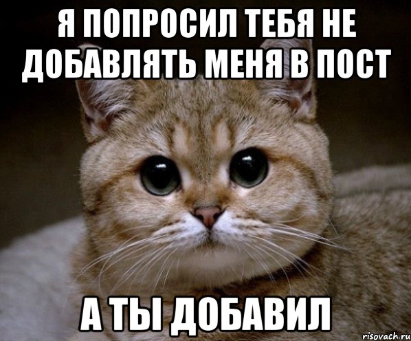 я попросил тебя не добавлять меня в пост а ты добавил, Мем Пидрила Ебаная