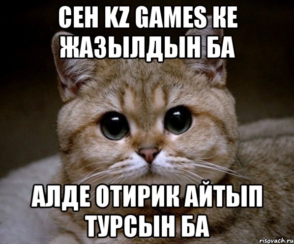 СЕН KZ GAMES КЕ ЖАЗЫЛДЫН БА АЛДЕ ОТИРИК АЙТЫП ТУРСЫН БА, Мем Пидрила Ебаная