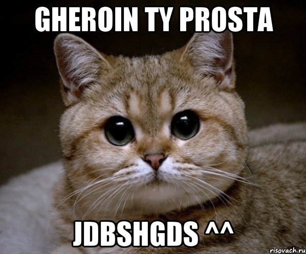 Gheroin ty prosta jdbshgds ^^, Мем Пидрила Ебаная