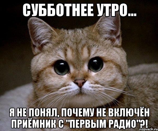 Субботнее утро... Я не понял, почему не включён приёмник с "Первым радио"?!, Мем Пидрила Ебаная