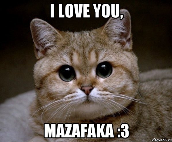 I love you, Mazafaka :3, Мем Пидрила Ебаная