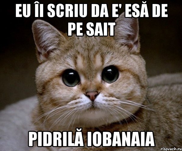 eu îi scriu da e' esă de pe sait pidrilă iobanaia, Мем Пидрила Ебаная