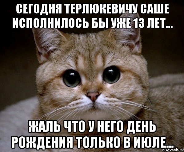 Сегодня Терлюкевичу Саше исполнилось бы уже 13 лет... Жаль что у него День Рождения только в Июле..., Мем Пидрила Ебаная