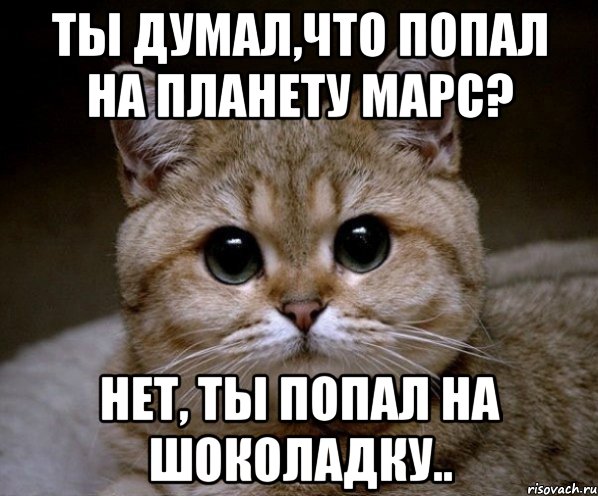 Ты думал,что попал на планету Марс? Нет, ты попал на шоколадку.., Мем Пидрила Ебаная