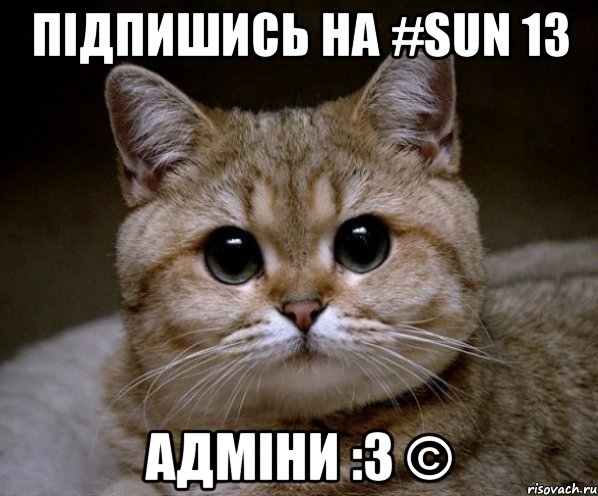 Підпишись на #Sun 13 Адміни :3 ©, Мем Пидрила Ебаная