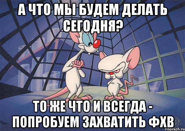 А что мы будем делать сегодня? То же что и всегда - попробуем захватить ФХВ, Мем ПИНКИ И БРЕЙН