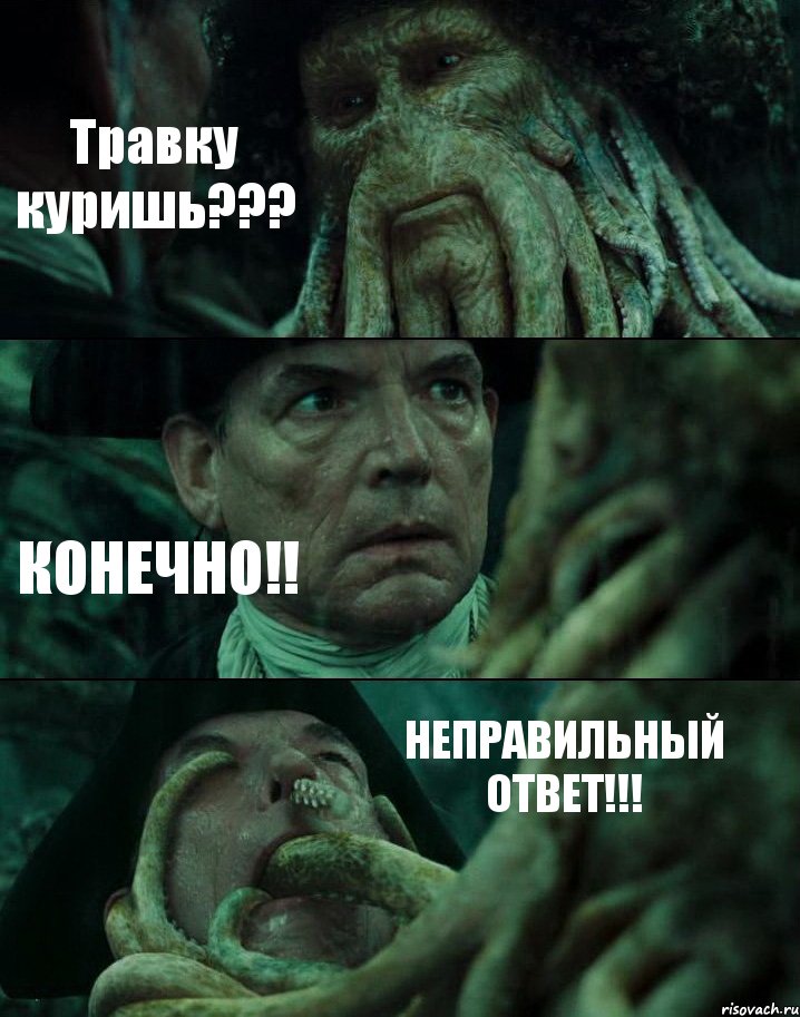 Травку куришь??? КОНЕЧНО!! НЕПРАВИЛЬНЫЙ ОТВЕТ!!!, Комикс Пираты Карибского моря