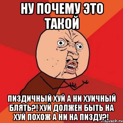 ну почему это такой пиздичный хуй а ни хуичный блять?! хуй должен быть на хуй похож а ни на пизду?!, Мем Почему