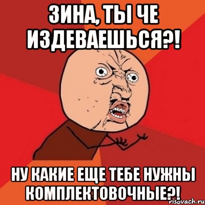 Зина, ты че издеваешься?! Ну какие еще тебе нужны комплектовочные?!, Мем Почему